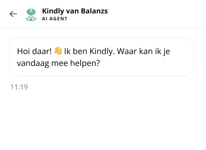 AI Agent Balanzs AI Agent Balanzs