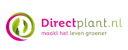 Directplant.nl