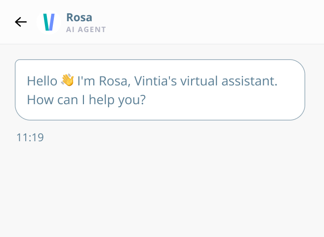 Vintia AI Agent Vintia AI Agent